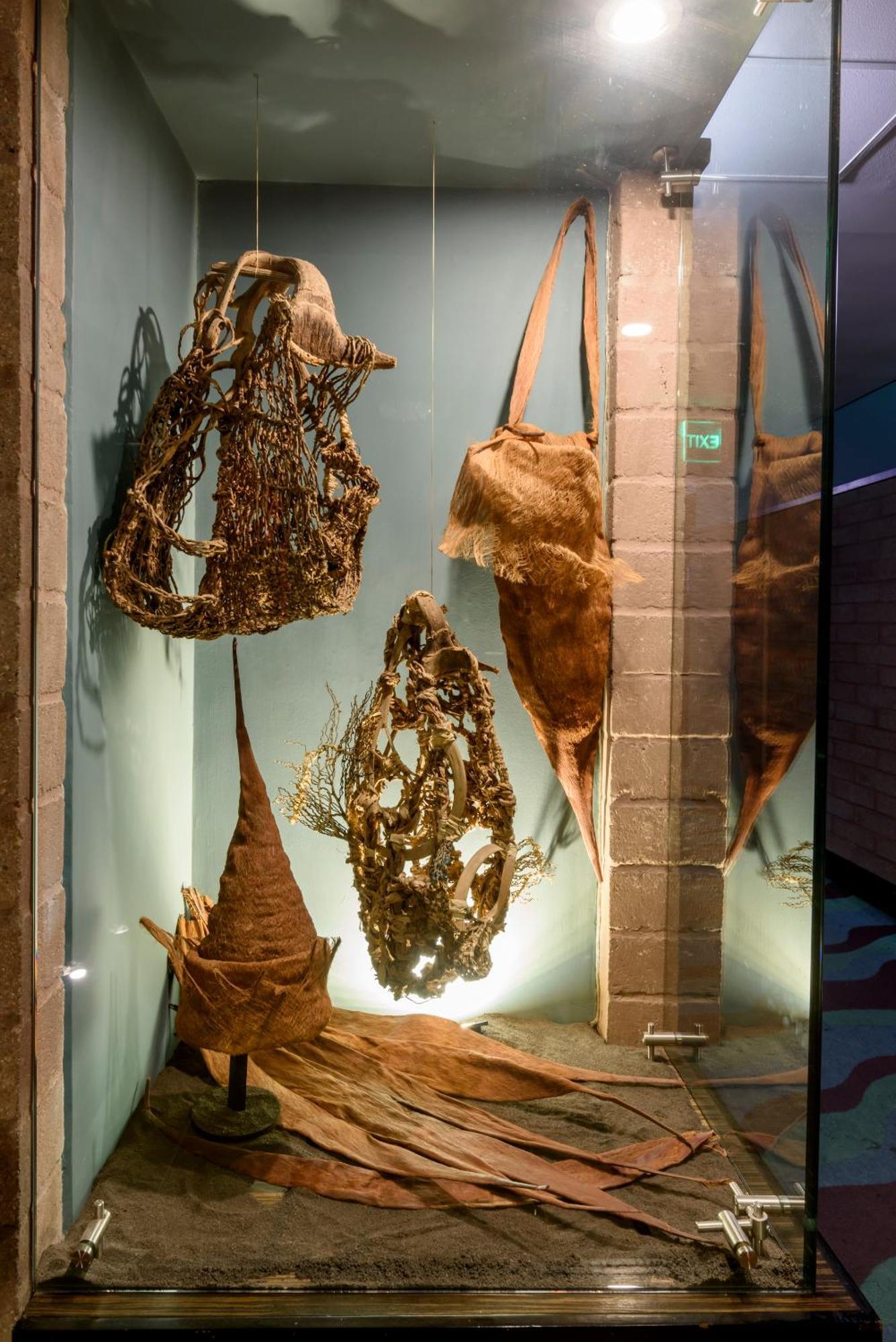 Diez Hotel Categoria Colombia Μεντεγίν Εξωτερικό φωτογραφία Fossil of the Late Cretaceous spinosaurid dinosaur Delphinapterus